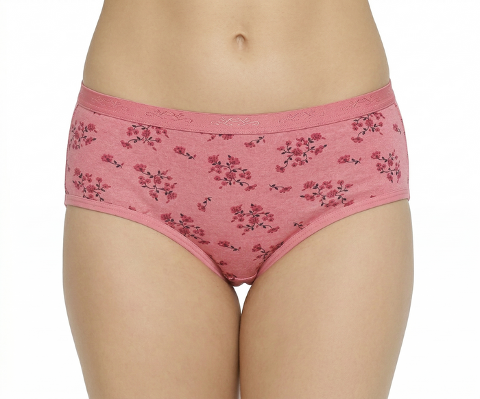 AACHAL High Rise Plus Size Hipster Panties – Pack of 3