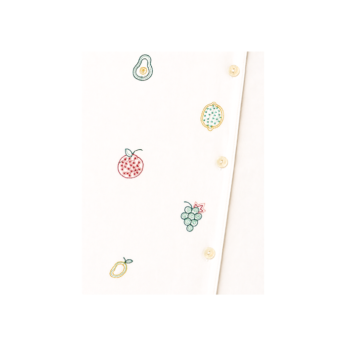 Set of small fruit illustrations on a white background