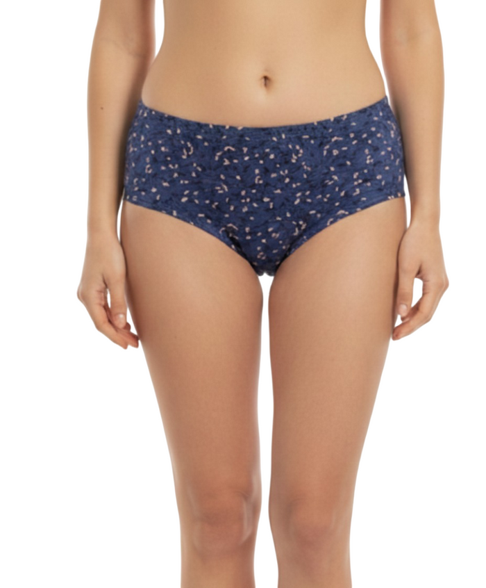 High Rise Plus Size Hipster Panties – Pack of 3