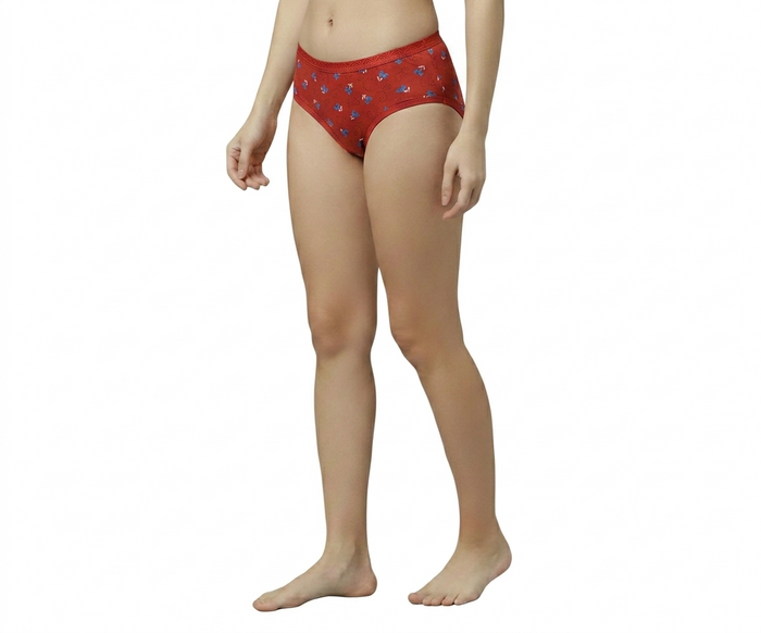 HIGH RISE PLUS SIZE Hipster Panties – Pack of 3
