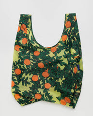 Orange Tree Yellow