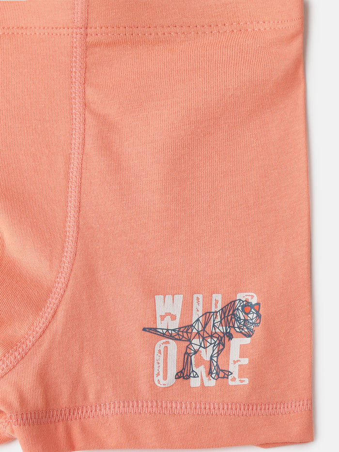 Boys Boxer - Pack of 6