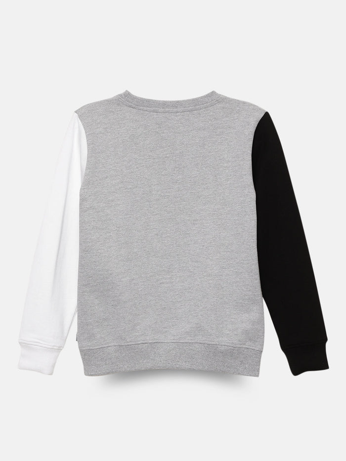 Boys Colorblocked Sleeve & Printed Sweatshirt
