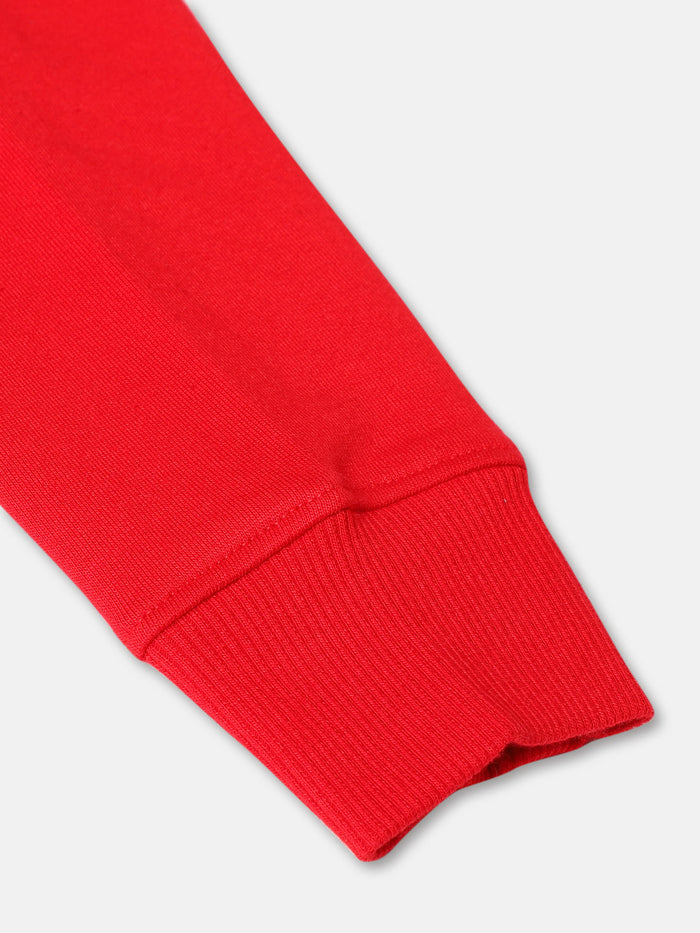 Boys Colorblocked Sleeve & Printed Sweatshirt