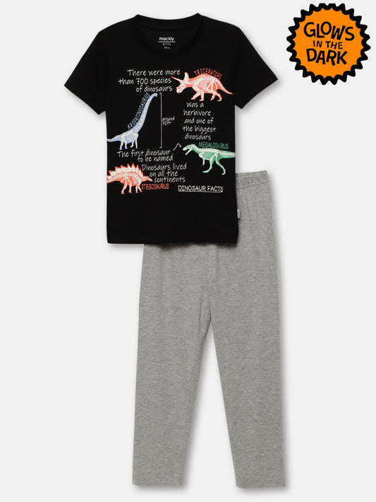 DINO FACTS