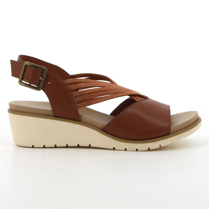 HPL01444BRBR-10
