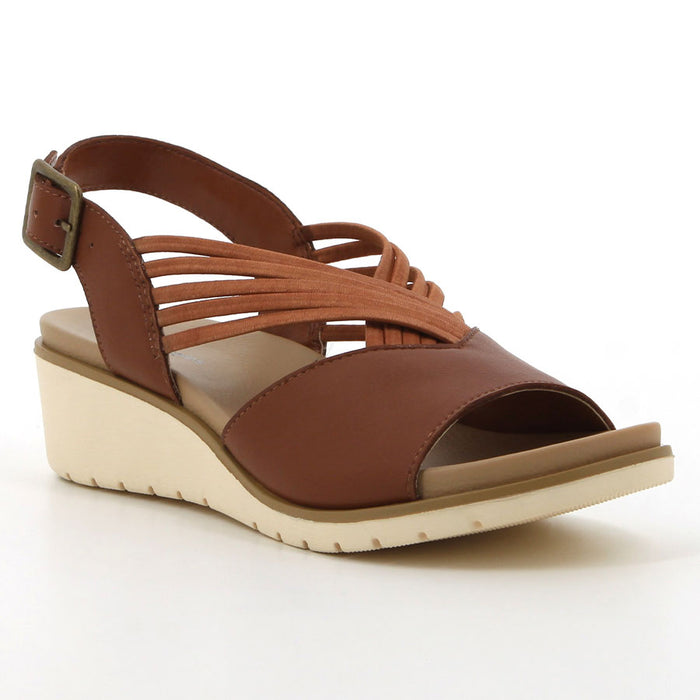 HPL01444BRBR-02