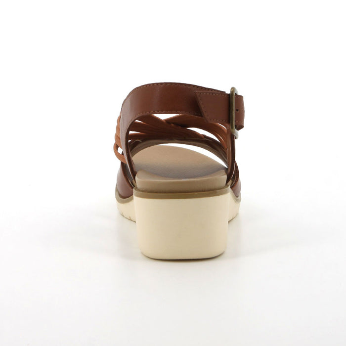 HPL01444BRBR-07