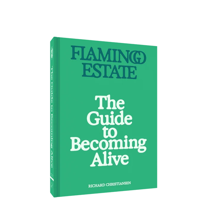 Flamingo Estate – Guide to Becoming Alive