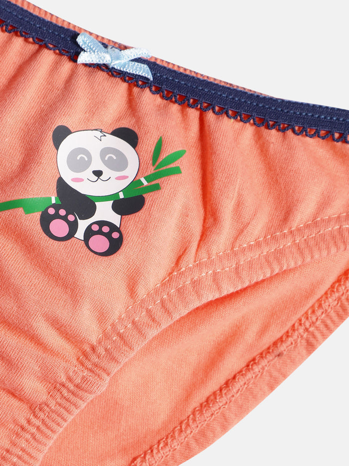 Girls Brief - Pack of 3