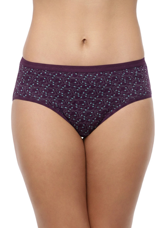 High Rise Plus Size Hipster Panties – Pack of 3