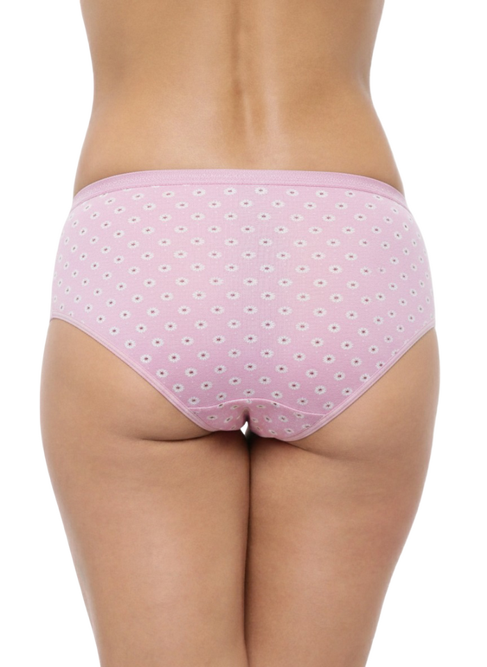 High Rise Plus Size Hipster Panties – Pack of 3