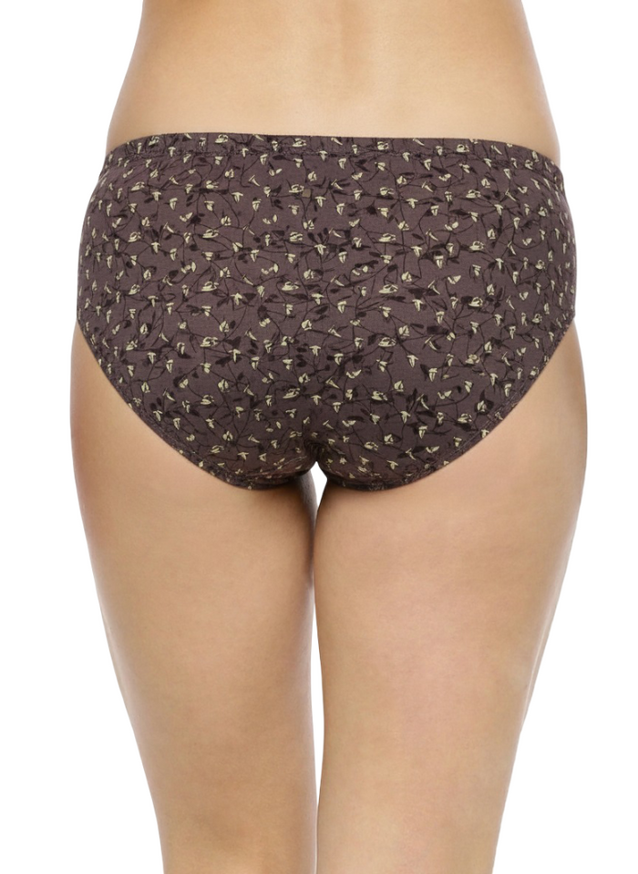 High Rise Plus Size Hipster Panties – Pack of 3