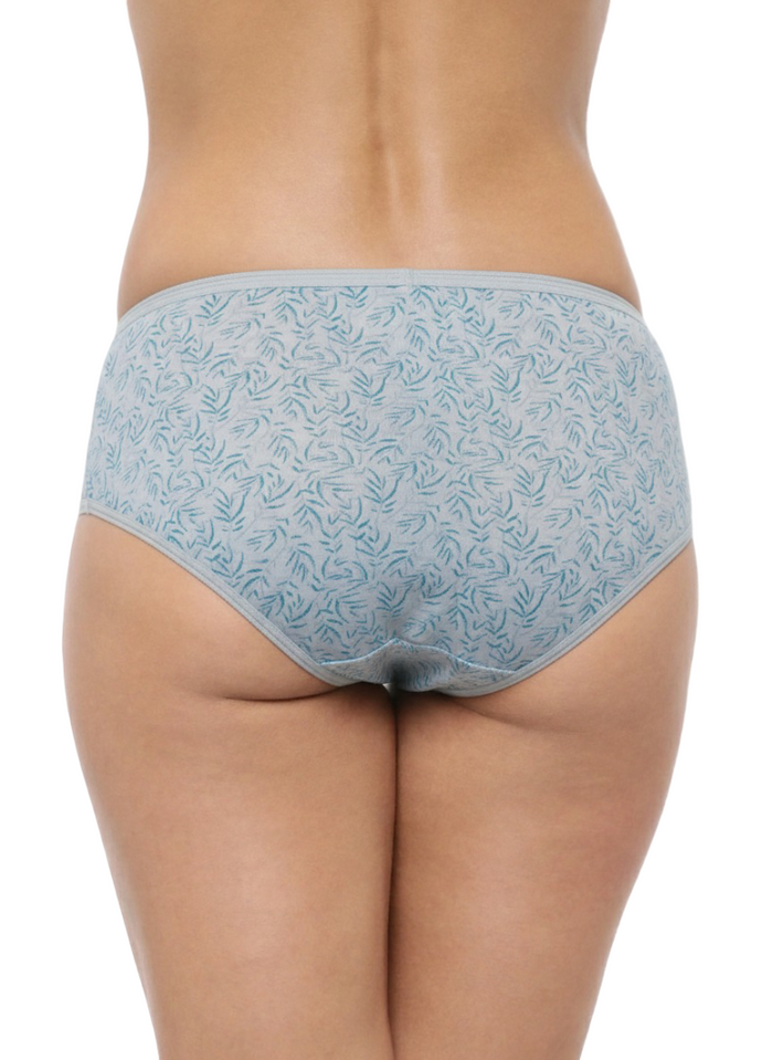 High Rise Plus Size Hipster Panties – Pack of 3