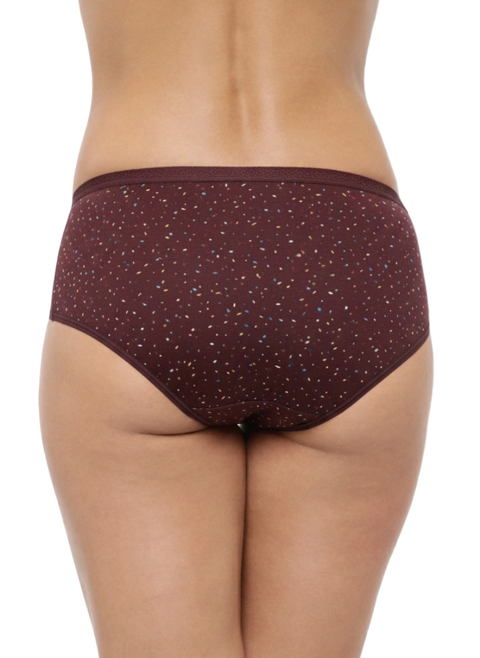 High Rise Plus Size Hipster Panties  Pack of 3