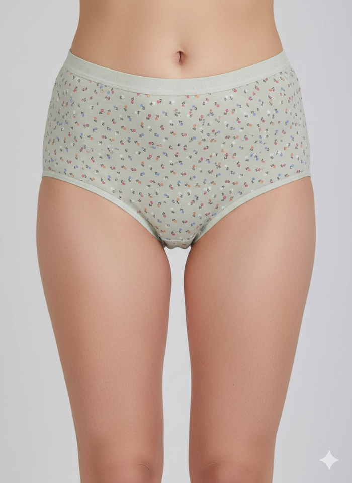 High Rise Plus Size Hipster Panty (Pack of 3)