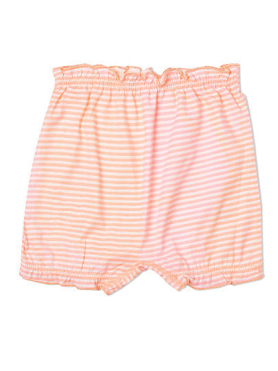 Redrose Girls Striped Cotton Bloomers – Pack of 6 | Soft, Colorful & Comfy Everyday Wear 👧 | BLM-231