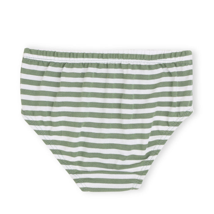 Redrose Girls' Striped Cotton Panties – Pack of 6 | Multicolor Comfort Fit Briefs for Daily Wear | BABY-60