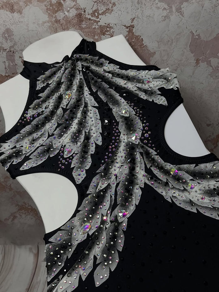 Rhinestone Leotard / Pole Dance Sparkling Outfit