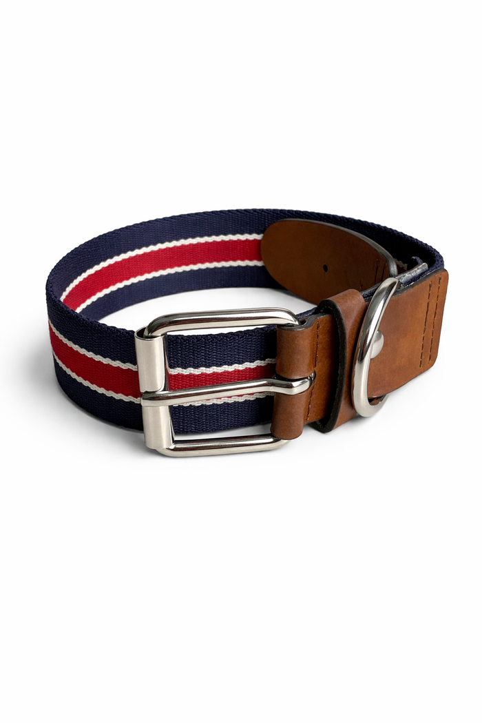 Striped vegan dog collar by Solari Milano, Brera colorway, nickel-free buckle, made in Italy