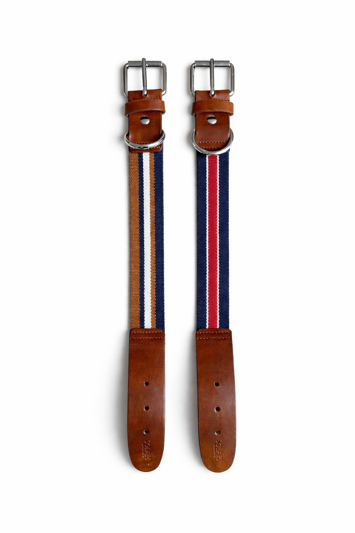 Striped vegan dog collar by Solari Milano, nickel-free buckle and vegan leather detail, sustainable pet accessory